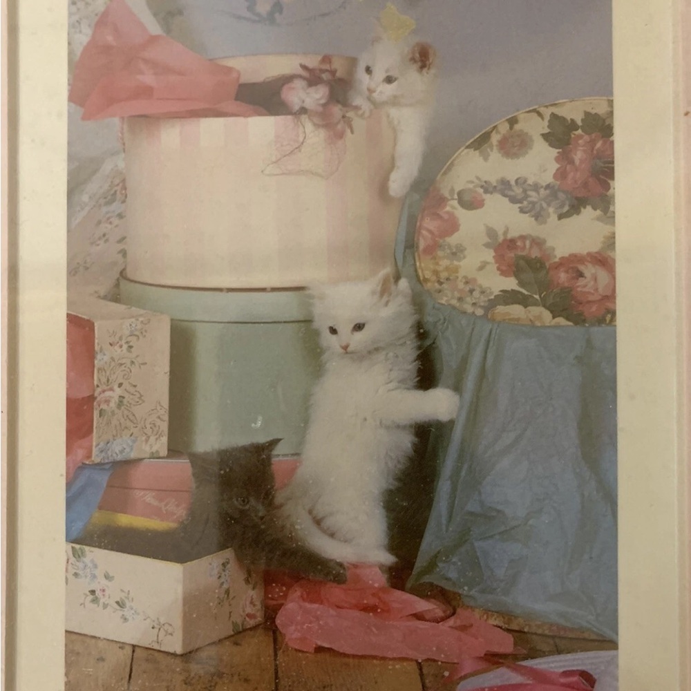 Vintage Susan Schelling photography 1986 kitten and hat boxes